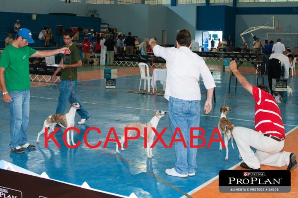 Clique sobre a foto para fechar